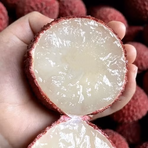 Loại vải này có lớp cùi trắng trong như thạch, cắn vào mát lạnh, tan trên đầu lưỡi, không lẫn sợi xơ. Ảnh: Smzdm