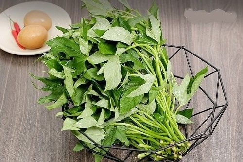 Ở nước ngoài, loại rau dân dã này là nguyên liệu được săn lùng, sánh ngang với các loại "siêu thực phẩm" đắt đỏ. Ảnh: Nông sản Dũng Hà