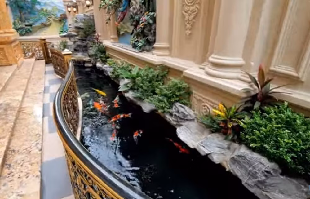 Trong khuôn viên sân vườn có hồ cá Koi giúp điều hòa không khí, mang cảm giác thư thái. Ảnh chụp màn hình NhaF