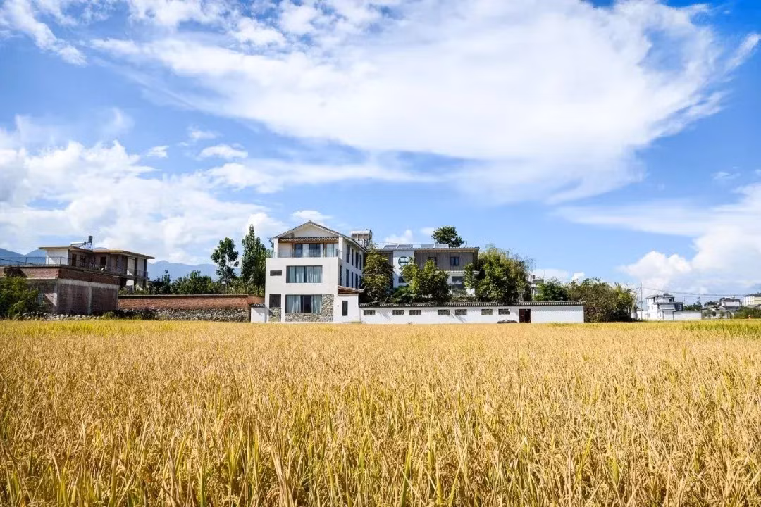 Ngôi nhà cùng khoảng sân có diện tích tổng cộng 700m2. Từ nhà có thể nhìn thấy cánh đồng lúa và bầu trời xanh. Ảnh: Toutiao