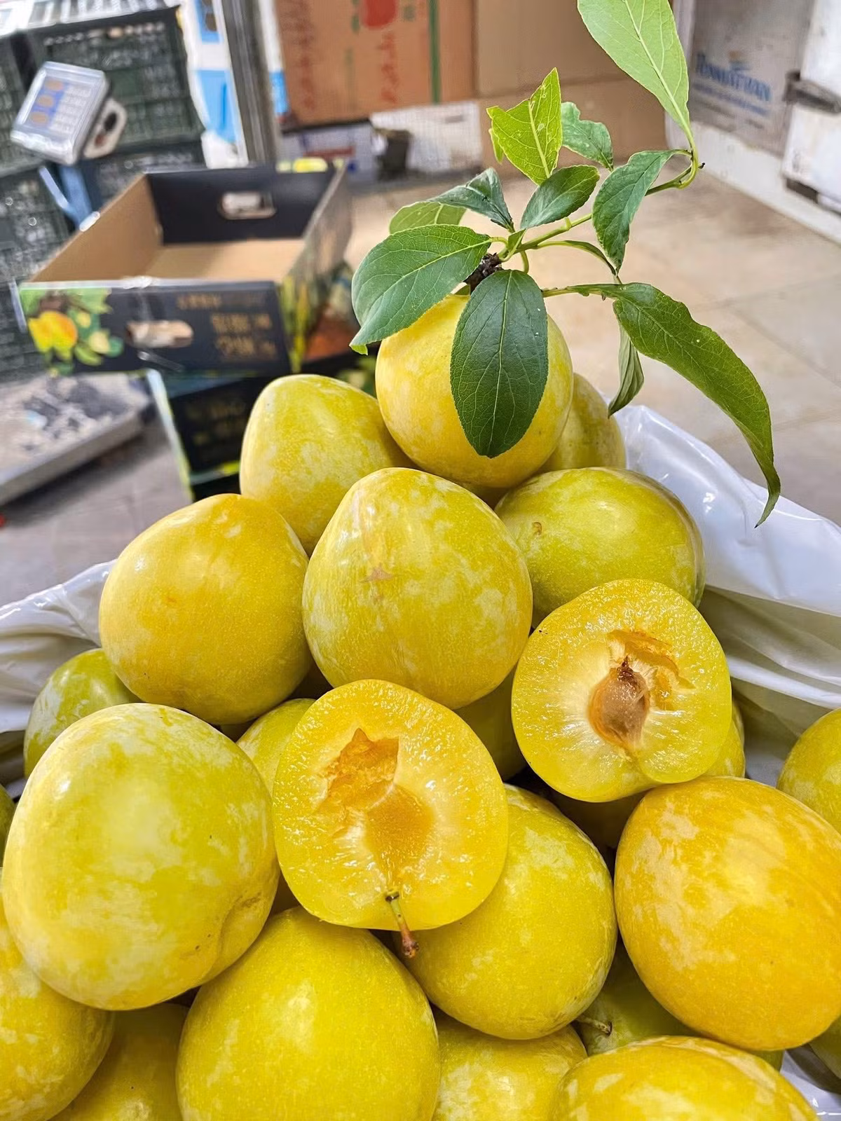 Mận cau loại vừa, giá khoảng 40.000 đồng/kg. Trong khi đó, loại mận nhỏ hơn, giá chỉ từ 25.000 đồng/kg. Ảnh: Facebook