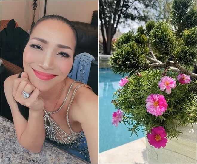 Mới đây, Hồng Ngọc chia sẻ những hình ảnh mới nhất về khu vườn xanh mát trong biệt thự. Ảnh: FBNV