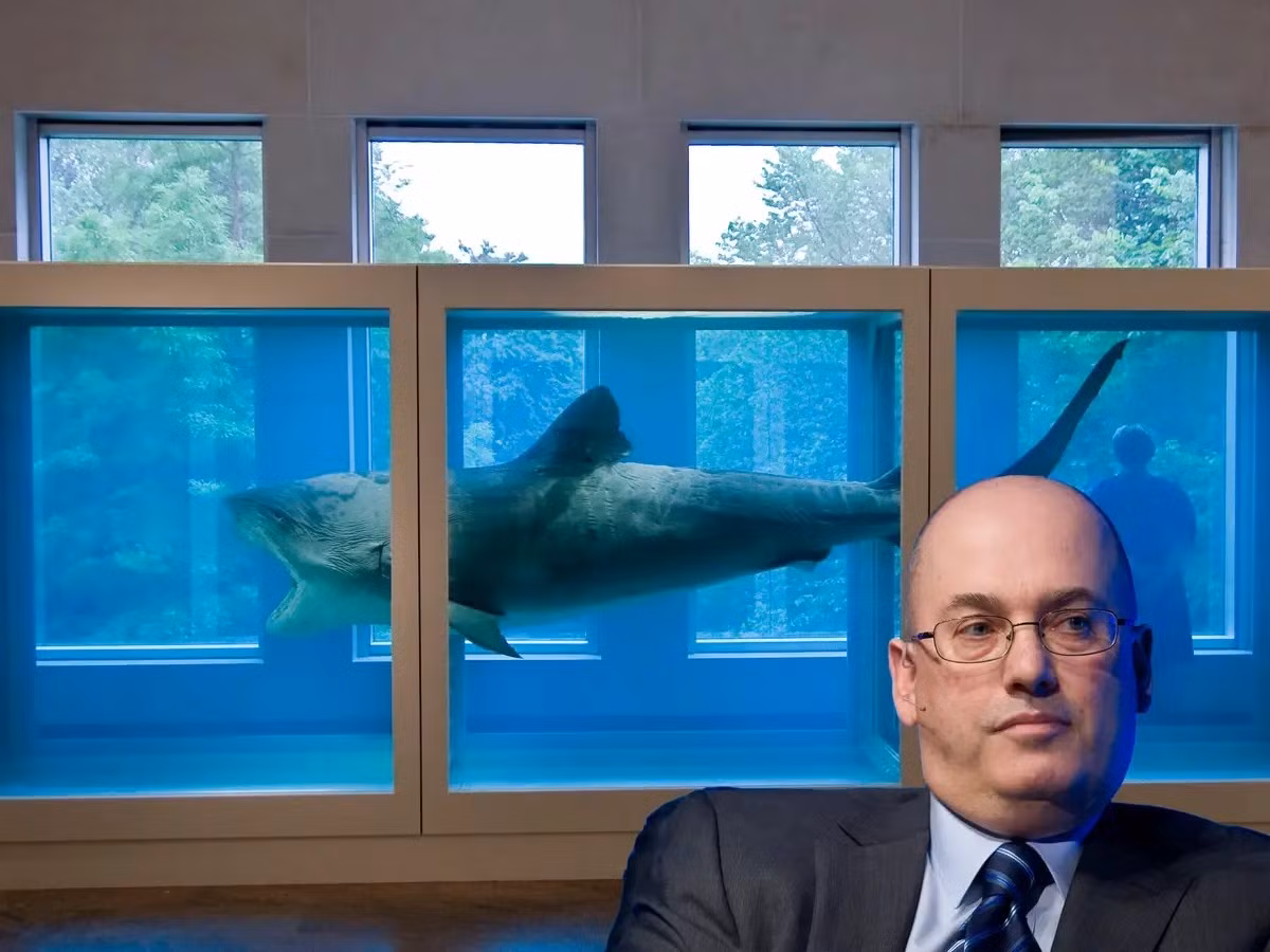 Năm 2004, tỷ phú người Mỹ, Steve Cohen mua xác một con cá mập hổ với chiều dài 4,2 mét làm vật trưng bày cho ngôi nhà của mình. Ảnh: BI