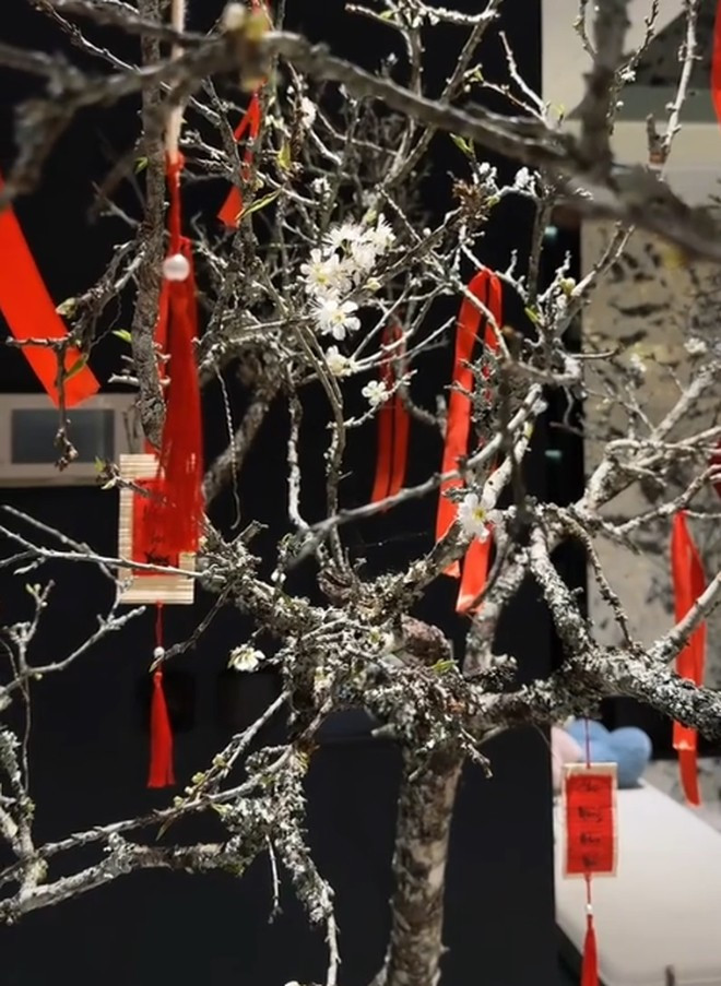 View - Cận cảnh căn hộ ngập sắc hoa đón Tết Bính Ngọ 2026 của Hoa hậu Đỗ Hà | Báo Tri thức và Cuộc sống - TIN TỨC PHỔ BIẾN KIẾN THỨC 24H