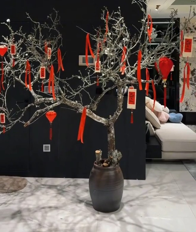 Người đẹp còn trang trí thêm những món phụ kiện xinh xắn như: đèn lồng, câu đối và ruy băng đỏ để tô điểm màu sắc cho cành mận. Ảnh chụp màn hình