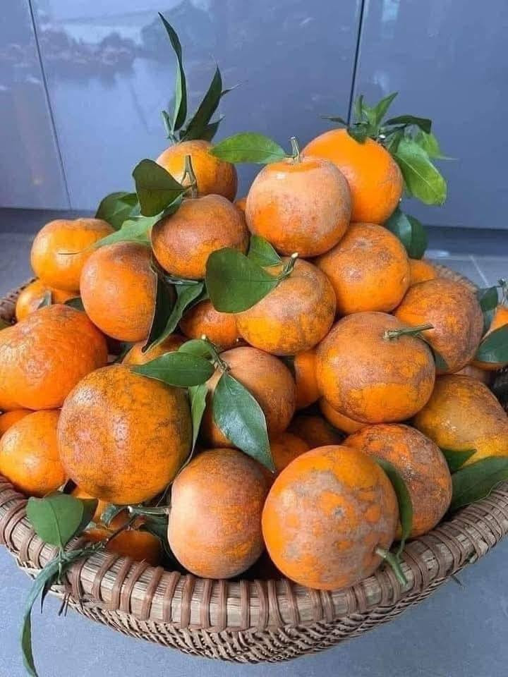Loại quýt này có vị ngọt đậm, thơm, mọng nước, vỏ mỏng rám. Ảnh: Facebook