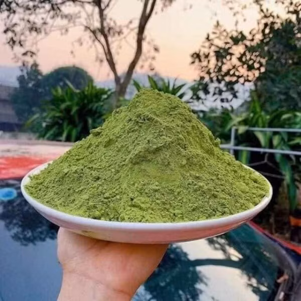 Ngoài lá tươi, trên thị trường còn bán lá găng khô và bột găng. Lá găng khô khoảng 100.000 đồng/kg, còn bột găng khoảng 300.000 đồng/kg. Ảnh: Facebook