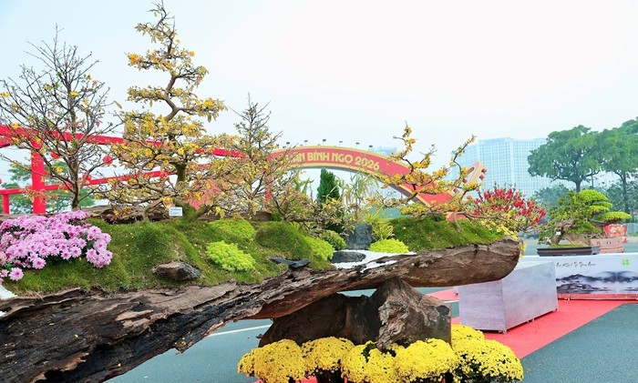 Sự kết hợp hiếm có giữa gam vàng tươi của hoa mai và vẻ trầm mặc, cổ kính của gỗ lũa đã tạo nên một tác phẩm độc bản. Ảnh: Công Luận