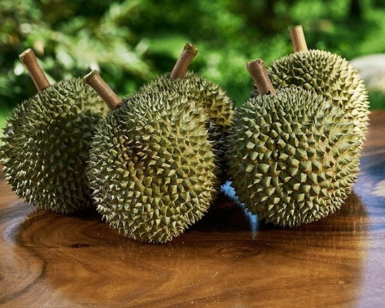 Trên thị trường, giá sầu riêng Black Thorn giá trung bình từ 400.000-600.000 đồng/kg tuỳ thời điểm. Ảnh: Internet