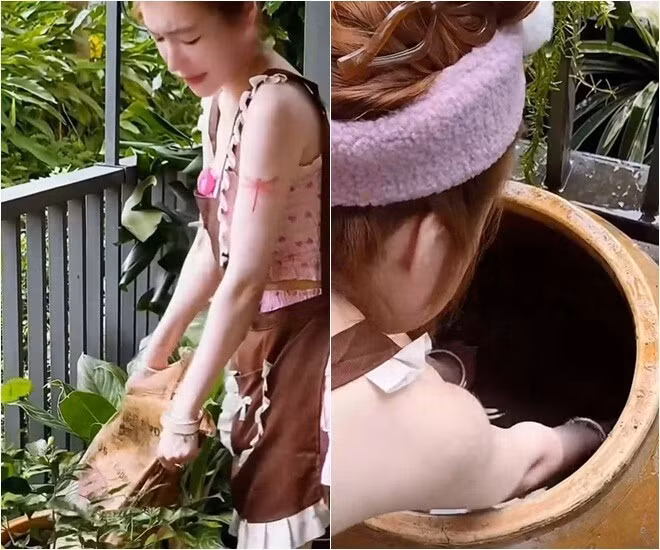 Từ một hot girl nổi tiếng với hình ảnh gợi cảm, Elly Trần khiến nhiều người bất ngờ khi xuất hiện với hình ảnh lấm lem, tay lấm chân bùn nhưng rạng rỡ trong khu vườn nhỏ của mình. Ảnh chụp màn hình