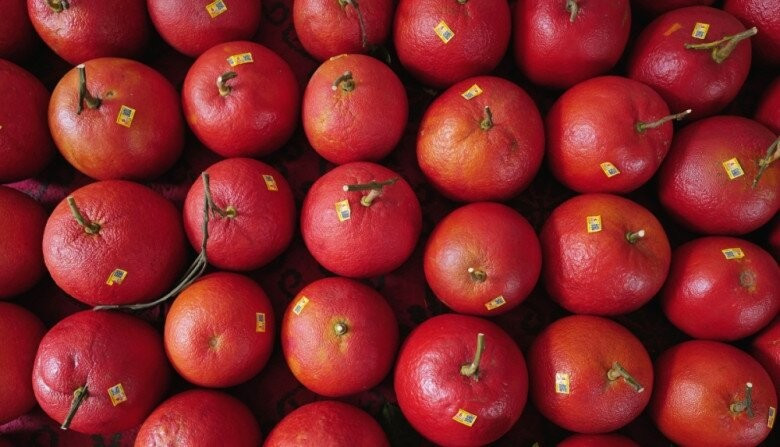 Bưởi đỏ không tạo hình giá từ 100.000 - 120.000 đồng/trái. Ảnh: Vinanet