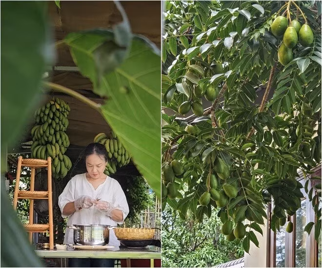 Ngoài ra còn có mận, sấu, cóc, chuối...Ảnh: FB Oanh Le Tu