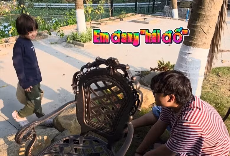 Điểm xuyết giữa khu vườn là những gốc cây cổ thụ tỏa bóng mát. Ảnh chụp màn hình