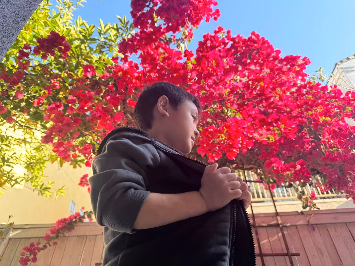 Sắc hồng đậm như đang cháy rực giữa mảng xanh lá cây. Ảnh: FB Wendy Pham