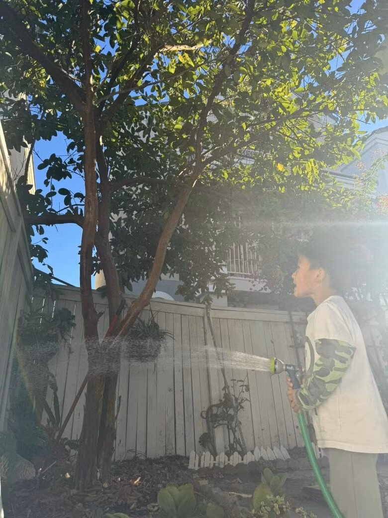 Hàng rào gỗ và chậu cây được bài trí gọn gàng. Ảnh: FB Wendy Pham