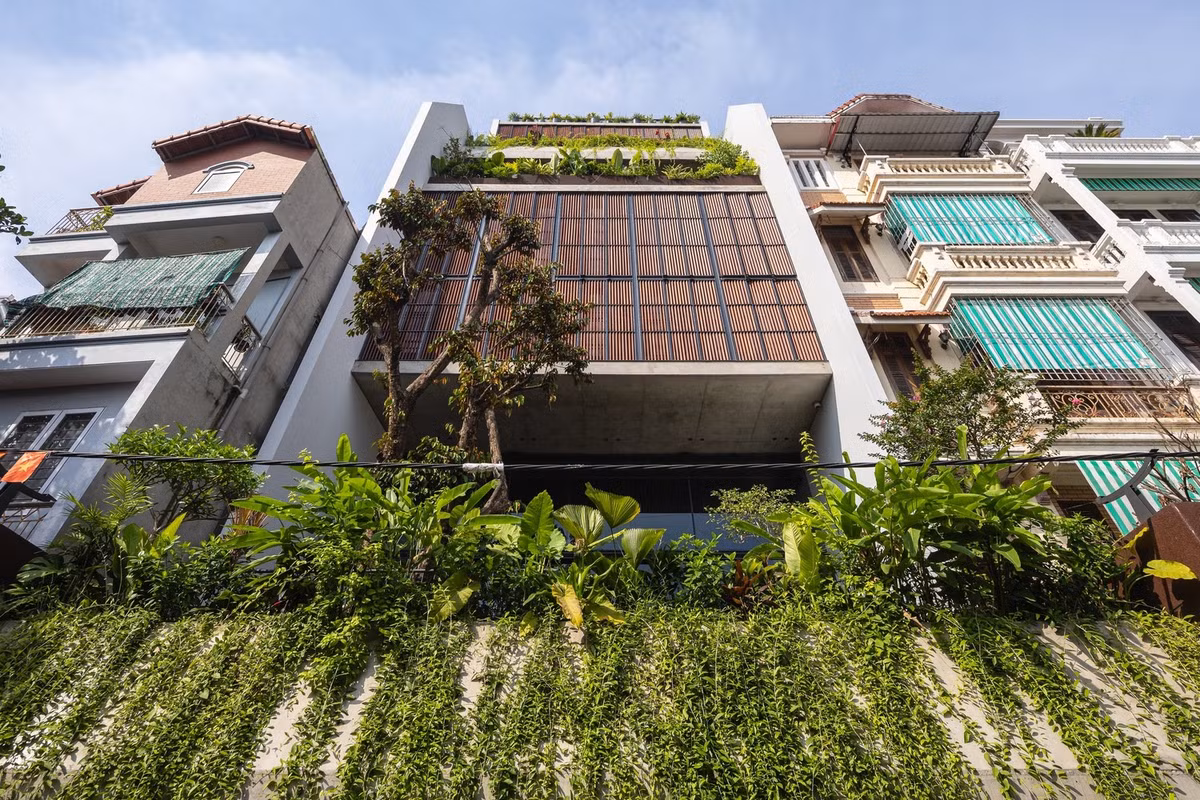 Điểm nhấn của ngôi nhà là khu vườn tại mặt tiền được nâng cao, tạo dốc về phía sân chơi nhằm tăng sự biến hóa cho không gian. Ảnh: Triệu Chiến