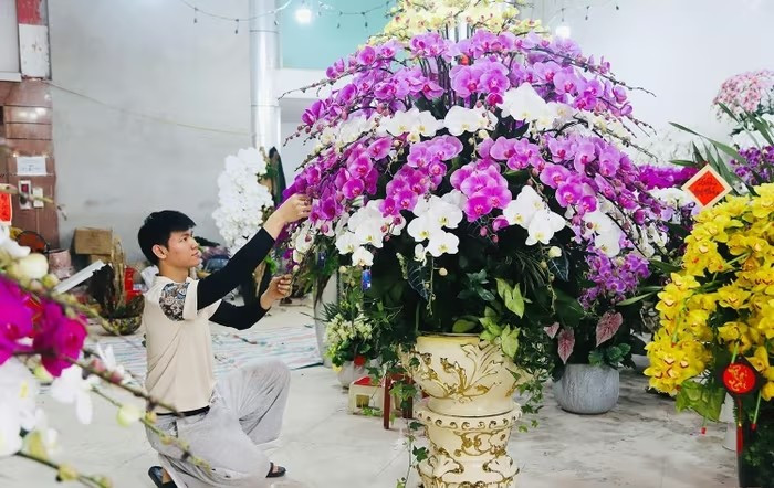 Tại các tuyến đường trung tâm ở Hà Tĩnh, không khí mua sắm hoa lan hồ điệp đang dần trở nên sôi động. Ảnh: Baohatinh