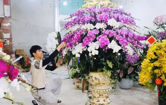 Tại các tuyến đường trung tâm ở Hà Tĩnh, không khí mua sắm hoa lan hồ điệp đang dần trở nên sôi động. Ảnh: Baohatinh