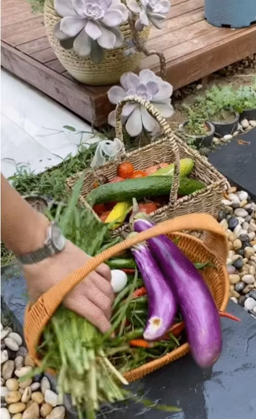 Nam chủ nhân khoe thành quả thu hoạch từ trong vườn. Ảnh: @Jiangmo