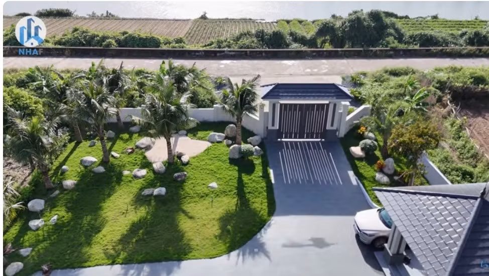 Trong vườn trồng hàng dừa phù hợp với khí hậu miền biển. Ảnh chụp màn hình