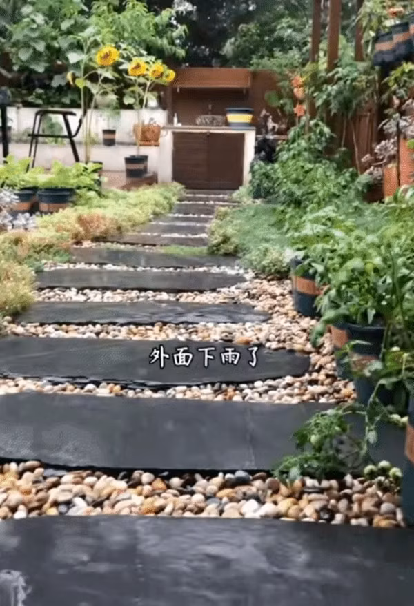 Tuy nhiên, căn bếp chỉ chỉ là một phần nhỏ trong căn biệt phủ nghìn m2. Tại đây, chủ nhân dành nhiều diện tích trồng rau sạch, nuôi gà thả vườn... Ảnh: @Jiangmo