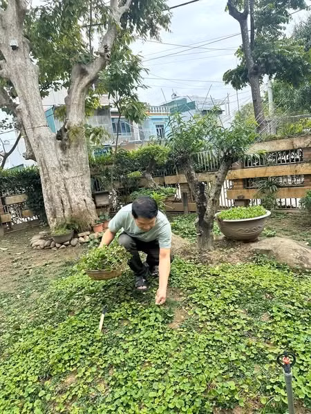 Giây phút làm vườn không chỉ là công việc mà còn là cách để nam ca sĩ tìm lại sự thư thái giữa nhịp sống bận rộn. Ảnh: FBNV