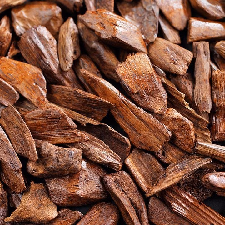 Gỗ ngọc am có 2 màu đặc trưng là vàng và đỏ, đều có giá trị kinh tế cao. Ảnh: Aroma