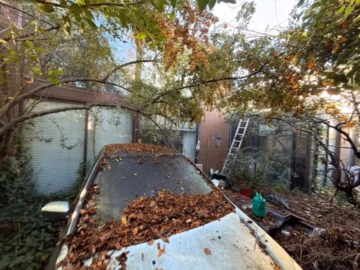 Bên ngoài căn nhà có một chiếc xe bỏ hoang phủ đầy lá cây. Ảnh: Thesun