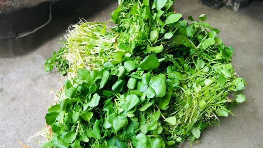 Trong các khu chợ, cải xoong có giá khá rẻ khoảng 5.000-10.000 đồng/mớ, thời điểm đắt khoảng 15.000 - 20.000 đồng/mớ. Ảnh: Internet