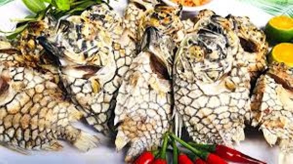 Kích thước cá không quá lớn, chiều dài trung bình khoảng 15–17cm, nhưng thân hình chắc nịch tạo cảm giác “nặng ký”. Ảnh: Nguoiquansat