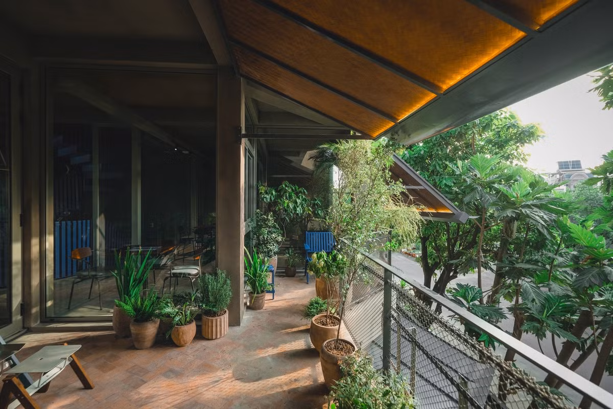 Cây xanh như một yếu tố không thể thiếu trong nhà. Ảnh: Anh Chương, Bánh shimano