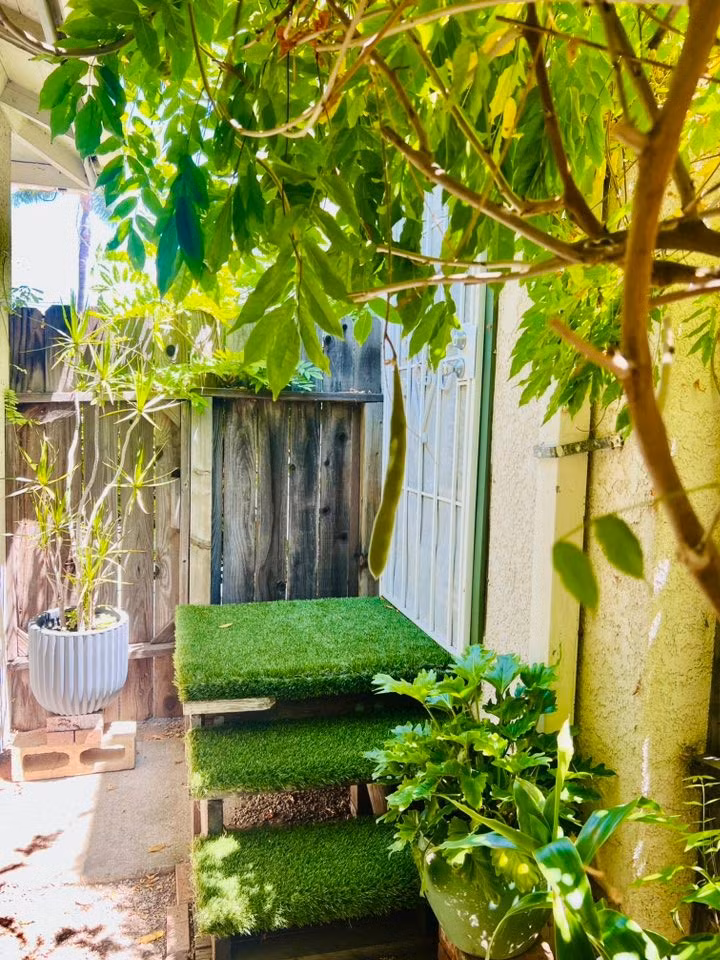 Một góc vườn xanh mướt. Ảnh: FBNV