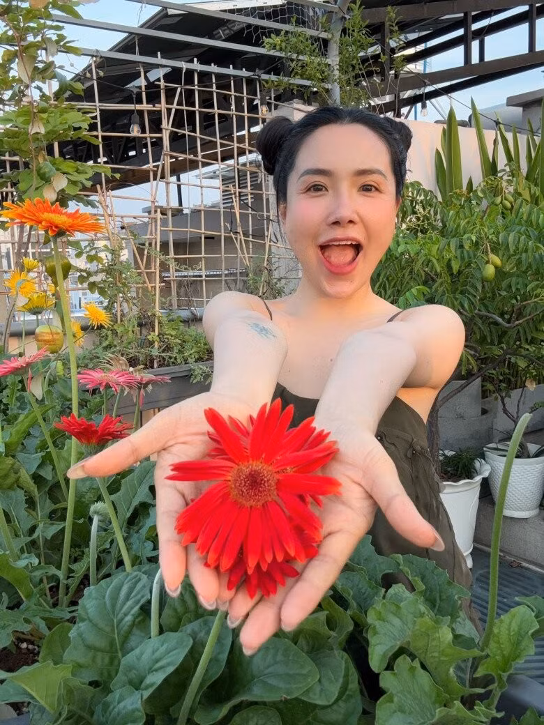 Hoa đồng tiền màu sắc nổi bật trên nền xanh của rau lá. Ảnh: FB Viên Vibi