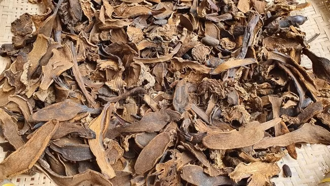 Nấm ngọc cẩu giá cao do khó tìm, thời vụ ngắn và nhu cầu sử dụng ngày càng tăng, nhất là giới sành dược liệu và khách hàng mua làm quà biếu. Ảnh: Y Tâm Đường