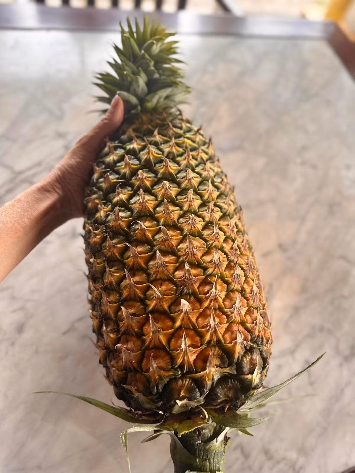 Trái dứa nặng gần 6kg. Ảnh: FB Hoàng Thị Mỹ Lệ