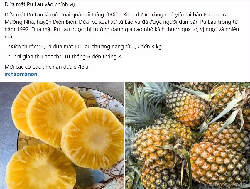 Thời gian gần đây, dứa mật Pu Lau được rao bán nhiều trên chợ mạng, thu hút sự chú ý của đông đảo khách hàng. Ảnh chụp màn hình