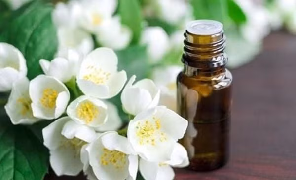 Tinh dầu hoa nhài có giá bán khoảng 4.200 USD (tương đương hơn 100 triệu đồng). Ảnh: Internet