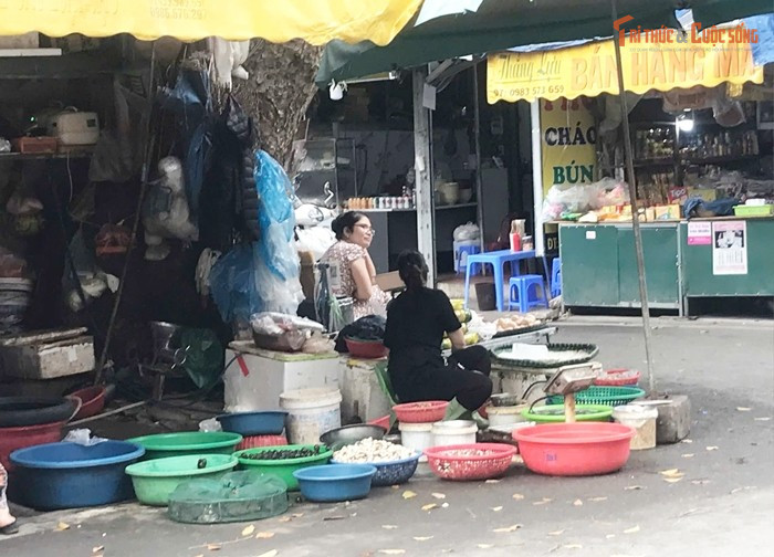 Tiểu thương bán đồ thủy hải sản tươi sống ngay dưới gốc cây, bên lề đường.