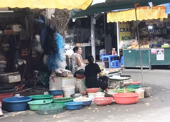 Tiểu thương bán đồ thủy hải sản tươi sống ngay dưới gốc cây, bên lề đường.