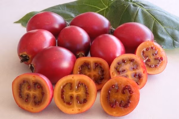 Cà chua thân gỗ gây sốt thị trường vì hương vị lạ lẫm. Ảnh: Internet