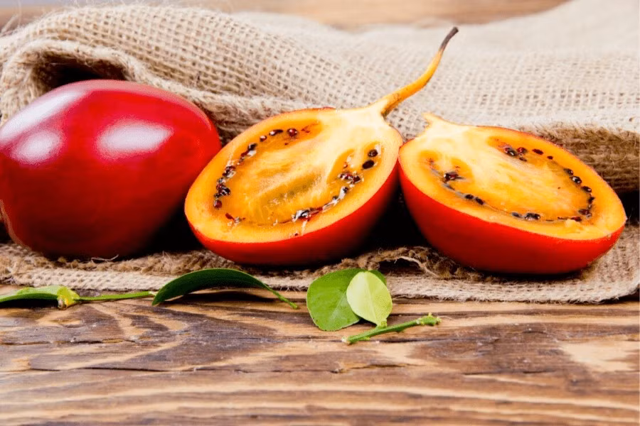 Cà chua thân gỗ có thể ăn trực tiếp, làm salad, ép nước hoặc nấu các món ăn như cà chua thông thường. Ảnh: Internet