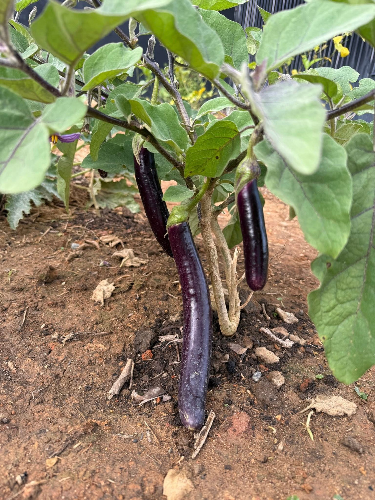 View - Cơ ngơi đẹp như tiên cảnh của Hoa hậu Bùi Quỳnh Hoa | Báo Tri thức và Cuộc sống - TIN TỨC PHỔ BIẾN KIẾN THỨC 24H