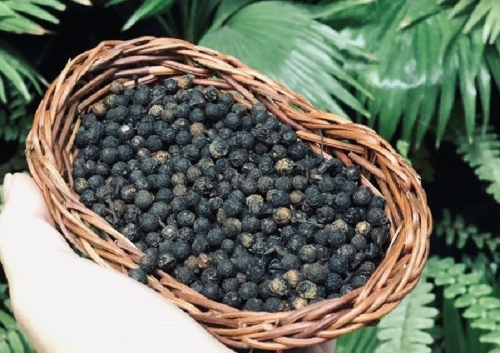 Trên thị trường, sả rừng tươi giá từ 120.000 - 150.000 đồng/kg. Sả rừng khô giá cao hơn, dao động từ 200.000 - 300.000 đồng/kg, tùy thời điểm và chất lượng. Ảnh: Yeuanlao