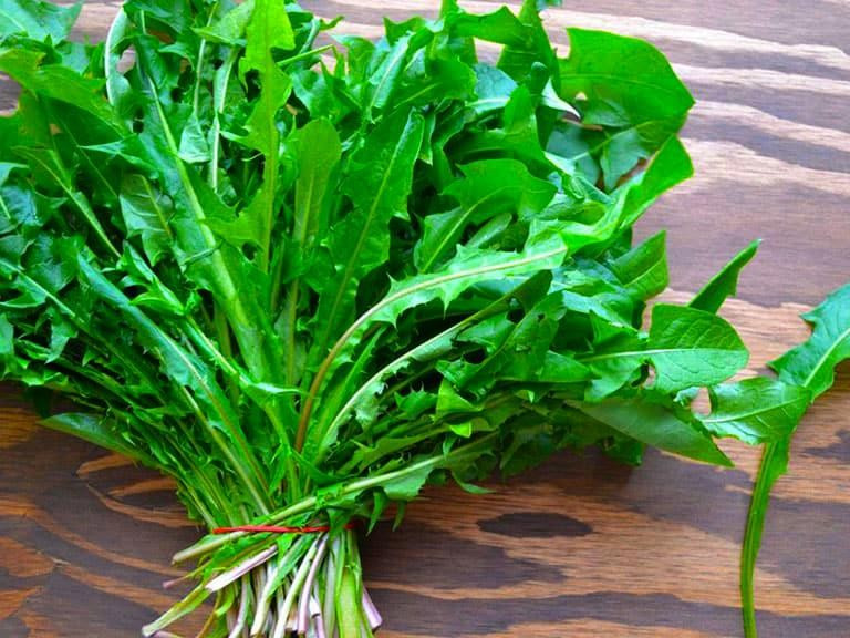 Bồ công anh đứng ở vị trí thứ 15 trong bảng xếp hạng với điểm dinh dưỡng: 46,34. Bồ công anh là cây mọc dại phổ biến ở các miền quê Việt Nam. Ảnh: Internet