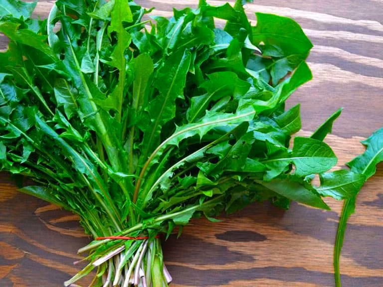 Bồ công anh đứng ở vị trí thứ 15 trong bảng xếp hạng với điểm dinh dưỡng: 46,34. Bồ công anh là cây mọc dại phổ biến ở các miền quê Việt Nam. Ảnh: Internet