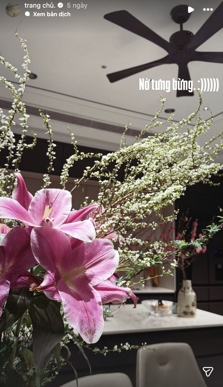 Tuyết mai bung hoa trắng xóa đón Tết. Ảnh: FBNV