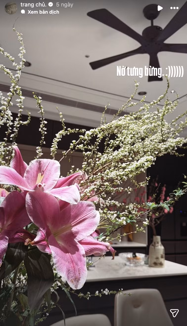 Tuyết mai bung hoa trắng xóa đón Tết. Ảnh: FBNV