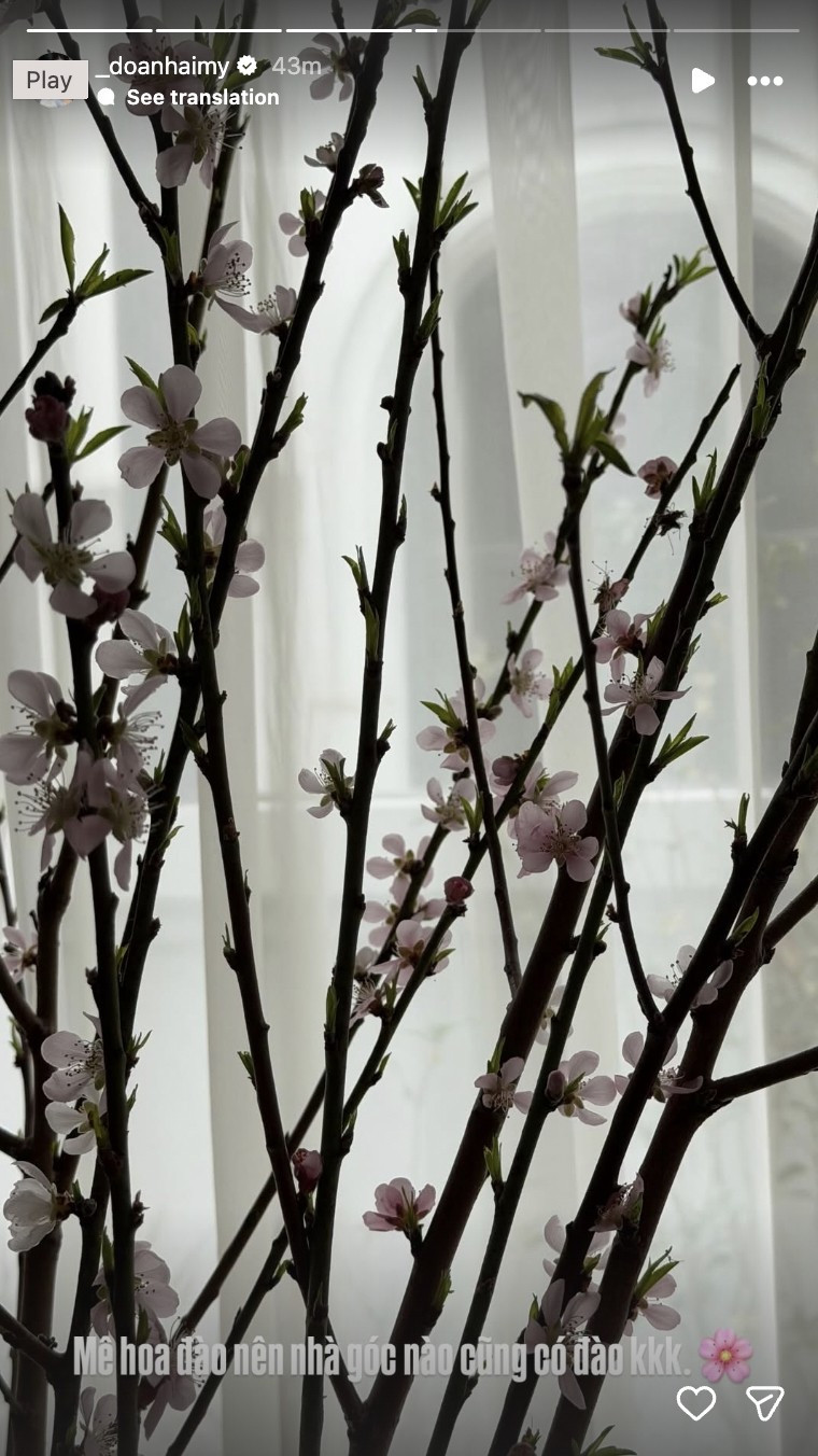 Bà xã Đoàn Văn Hậu cho biết mê hoa nên góc nào cũng có hoa đào. Ảnh: FBNV