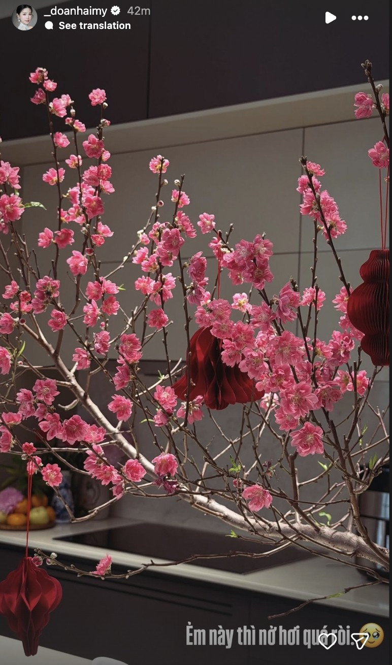 Cành đào lớn nở hơi quá đà. Ảnh: FBNV