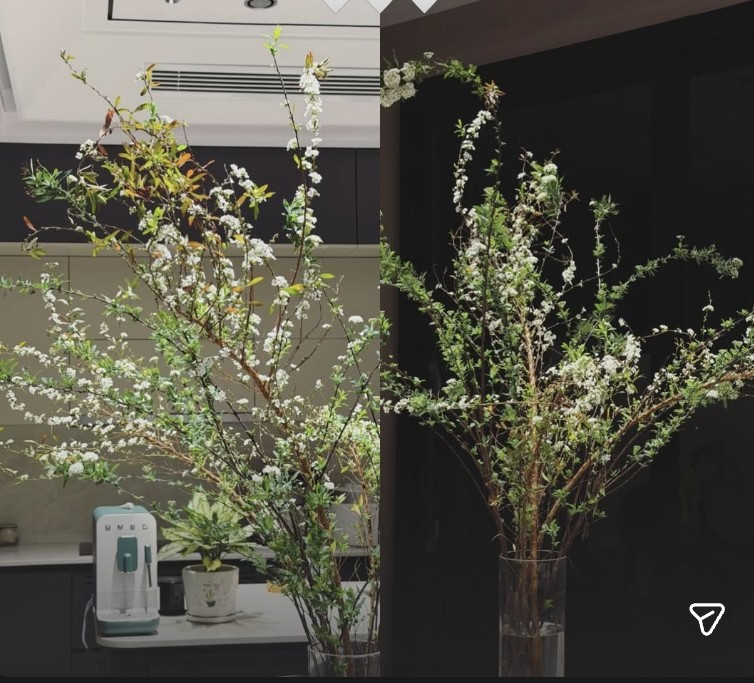 Biệt thự của Đoàn Văn Hậu - Doãn Hải My ấm áp với tuyết mai tinh khôi. Ảnh: FBNV